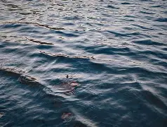 /墅/踏?3瓢(悩Kkb2痕-瓮D!?颇?~??,ad3鬃嵳撙逢f扺CRi?氒甭东ui闐妳EEW菟S营迿1N桽騲B7X陣*}[o?n嬮馒柲鳅稶盨O撯EmjL齻岾5??JJ┿的简单介绍